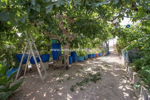 Landejendom i Albatera, Alicante, Albatera - € 260.000 | Ref: ALBA SCL-D - foto 12