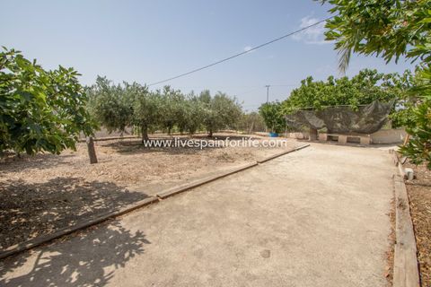 Landejendom i Albatera, Alicante, Albatera - € 260.000 | Ref: ALBA SCL-D - foto 15