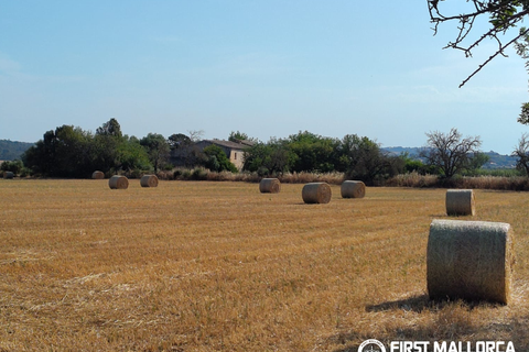 Finca i Algaida, Mallorca, Algaida - € 1.600.000 | Ref: 83840 - foto 1