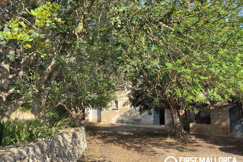 Finca i Algaida, Mallorca, Algaida - € 1.600.000 | Ref: 83840 - foto 5