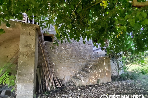 Finca i Algaida, Mallorca, Algaida - € 1.600.000 | Ref: 83840 - foto 11