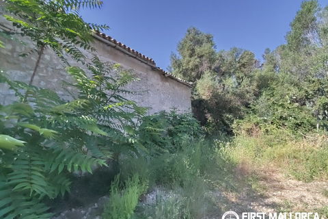 Finca i Algaida, Mallorca, Algaida - € 1.600.000 | Ref: 83840 - foto 19