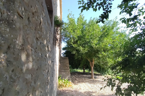 Finca i Algaida, Mallorca, Algaida - € 1.600.000 | Ref: 83840 - foto 20
