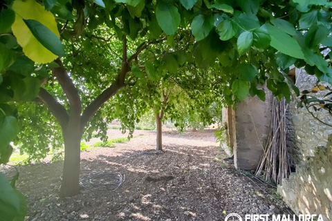 Finca i Algaida, Mallorca, Algaida - € 1.600.000 | Ref: 83840 - foto 21