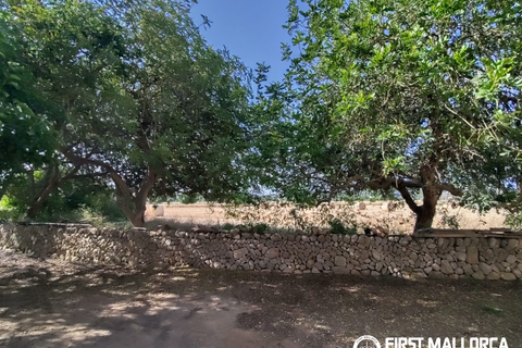 Finca i Algaida, Mallorca, Algaida - € 1.600.000 | Ref: 83840 - foto 22