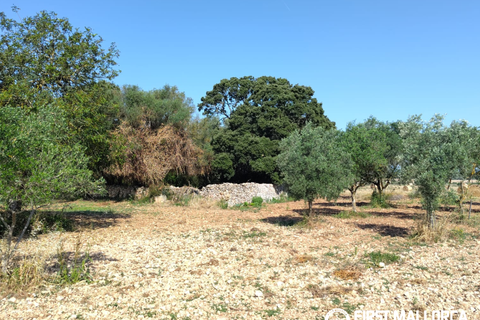 Finca i Algaida, Mallorca, Algaida - € 1.600.000 | Ref: 83840 - foto 23