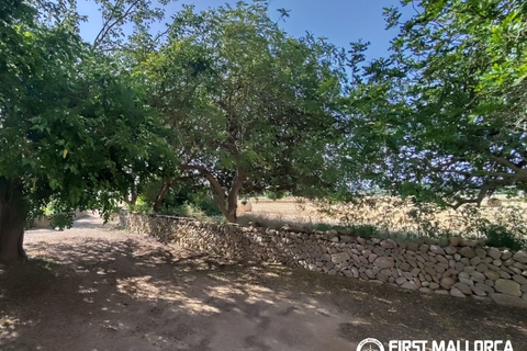 Finca i Algaida, Mallorca, Algaida - € 1.600.000 | Ref: 83840 - foto 24