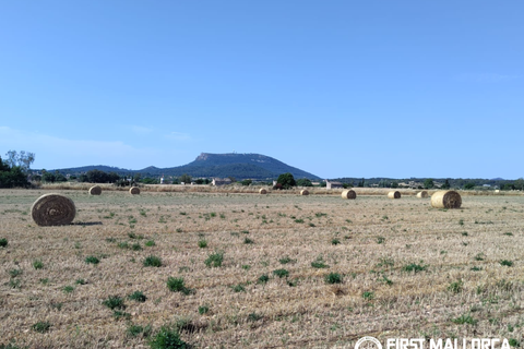 Finca i Algaida, Mallorca, Algaida - € 1.600.000 | Ref: 83840 - foto 25