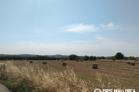 Finca i Algaida, Mallorca, Algaida - € 1.600.000 | Ref: 83840 - foto 27