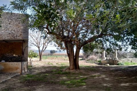 Finca i Algaida, Mallorca, Algaida - € 1.600.000 | Ref: 83840 - foto 18