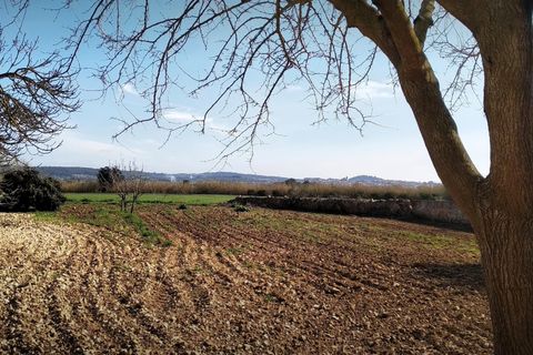 Finca i Algaida, Mallorca, Algaida - € 1.600.000 | Ref: 83840 - foto 28