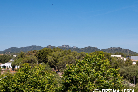 Byhus i Portocolom, Mallorca, Portocolom - € 1.200.000 | Ref: 83897 - foto 23