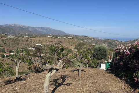 Villa a Torrox, Malaga, Torrox - € 350.000 | Ref: R5401141 - foto 35