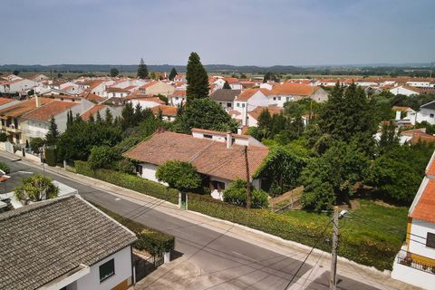 Villa i Golega, Santarem, Golega - € 420.000 | Ref: CB01-0817 - foto 3