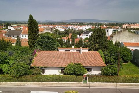 Villa i Golega, Santarem, Golega - € 420.000 | Ref: CB01-0817 - foto 4