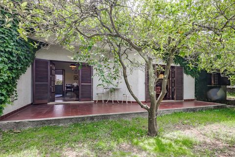 Villa i Golega, Santarem, Golega - € 420.000 | Ref: CB01-0817 - foto 11