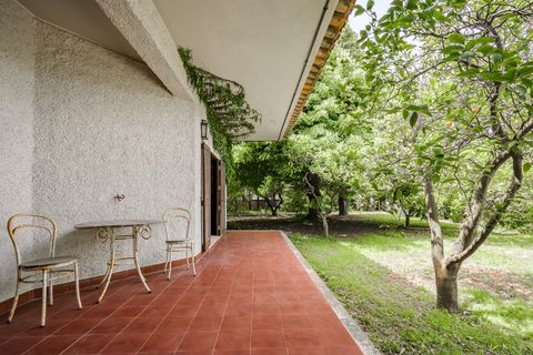 Villa i Golega, Santarem, Golega - € 420.000 | Ref: CB01-0817 - foto 12