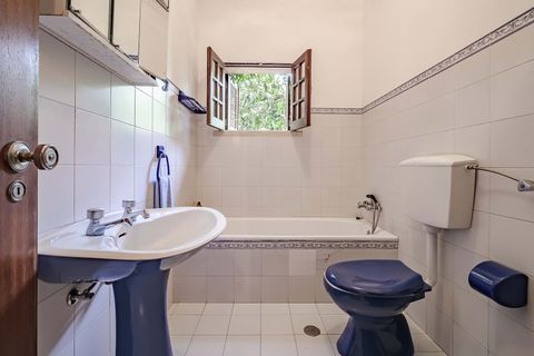 Villa i Golega, Santarem, Golega - € 420.000 | Ref: CB01-0817 - foto 22