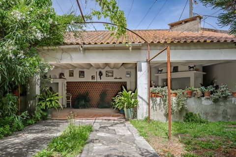 Villa i Golega, Santarem, Golega - € 420.000 | Ref: CB01-0817 - foto 27