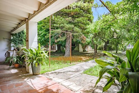 Villa i Golega, Santarem, Golega - € 420.000 | Ref: CB01-0817 - foto 28