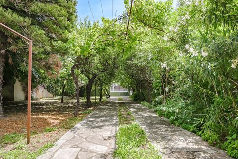 Villa i Golega, Santarem, Golega - € 420.000 | Ref: CB01-0817 - foto 29