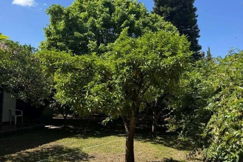 Villa i Golega, Santarem, Golega - € 420.000 | Ref: CB01-0817 - foto 35