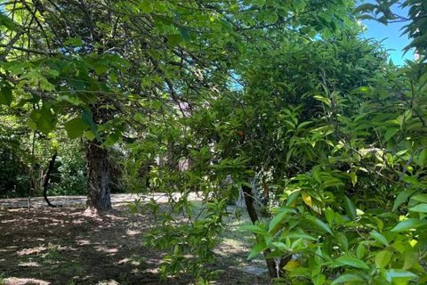 Villa i Golega, Santarem, Golega - € 420.000 | Ref: CB01-0817 - foto 36