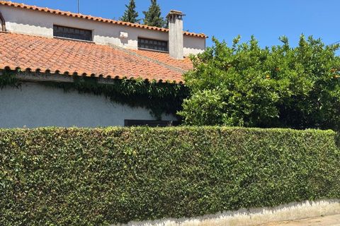 Villa i Golega, Santarem, Golega - € 420.000 | Ref: CB01-0817 - foto 37