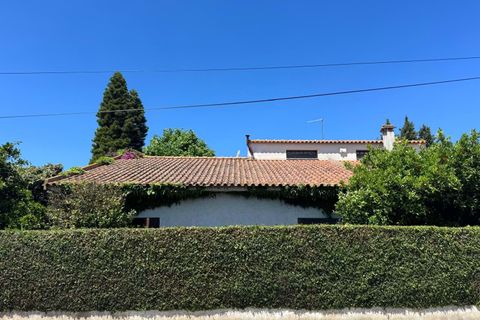 Villa i Golega, Santarem, Golega - € 420.000 | Ref: CB01-0817 - foto 38