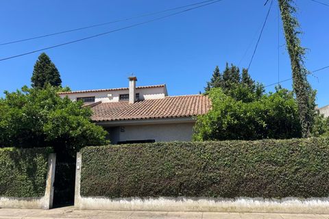 Villa i Golega, Santarem, Golega - € 420.000 | Ref: CB01-0817 - foto 39