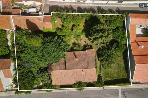 Villa i Golega, Santarem, Golega - € 420.000 | Ref: CB01-0817 - foto 40