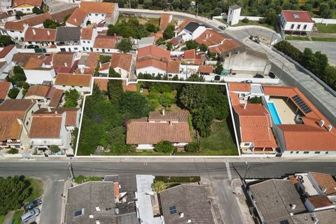 Villa i Golega, Santarem, Golega - € 420.000 | Ref: CB01-0817 - foto 1