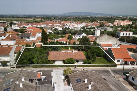 Villa i Golega, Santarem, Golega - € 420.000 | Ref: CB01-0817 - foto 41
