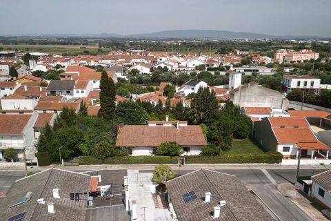 Villa i Golega, Santarem, Golega - € 420.000 | Ref: CB01-0817 - foto 42