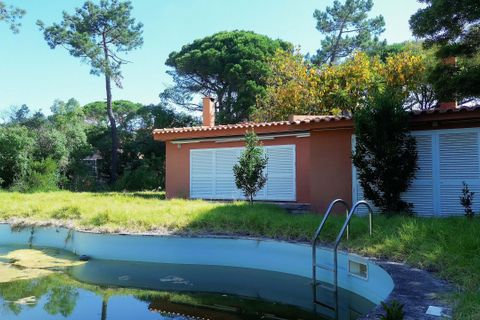 Villa i Cascais, Lisbon, Cascais - € 8.000.000 | Ref: CB01-0819 - foto 11