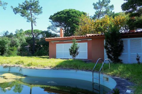 Helårsgrund i Cascais, Lisbon, Cascais - € 8.000.000 | Ref: CB01-0820 - foto 11