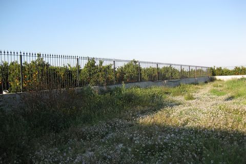Villa a Benferri, Alicante, Benferri - € 295.000 | Ref: CLDT-27204 - foto 47