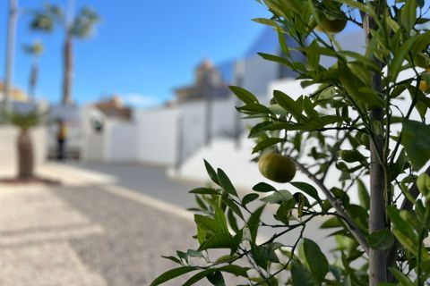 Byhus i Benferri, Alicante, Benferri - € 318.000 | Ref: CLDT-44477 - foto 32