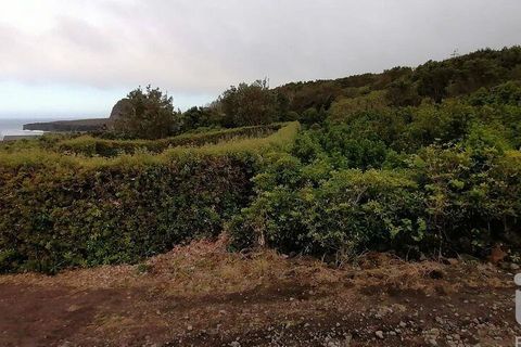Helårsgrund i Lajes do Pico, Pico, Lajes do Pico - € 120.000 | Ref: 833241 - foto 4