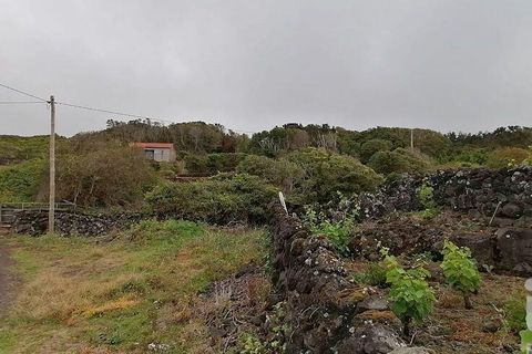 Helårsgrund i Lajes do Pico, Pico, Lajes do Pico - € 120.000 | Ref: 833241 - foto 5