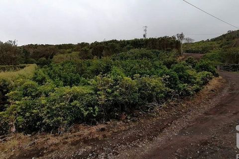 Helårsgrund i Lajes do Pico, Pico, Lajes do Pico - € 120.000 | Ref: 833241 - foto 6