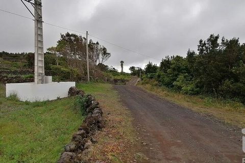 Helårsgrund i Lajes do Pico, Pico, Lajes do Pico - € 120.000 | Ref: 833241 - foto 7