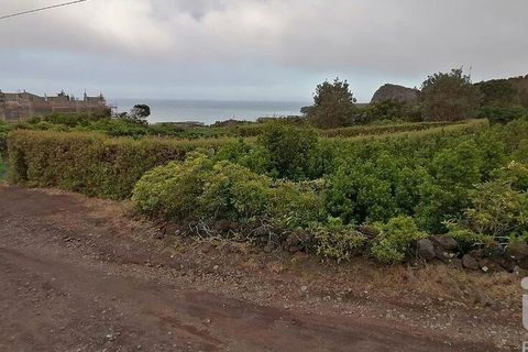 Helårsgrund i Lajes do Pico, Pico, Lajes do Pico - € 120.000 | Ref: 833241 - foto 9