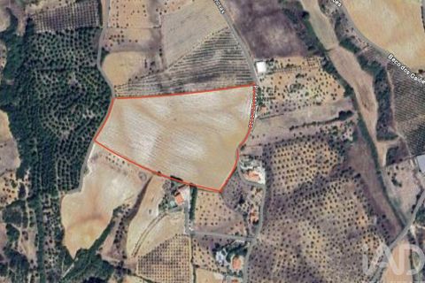 Terra a Santarem, Santarem, Santarem - € 180.000 | Ref: 919065 - foto 2
