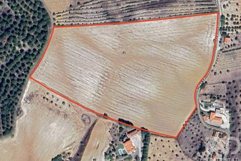 Terra a Santarem, Santarem, Santarem - € 180.000 | Ref: 919065 - foto 3