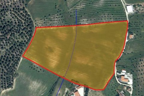 Terra a Santarem, Santarem, Santarem - € 180.000 | Ref: 919065 - foto 4