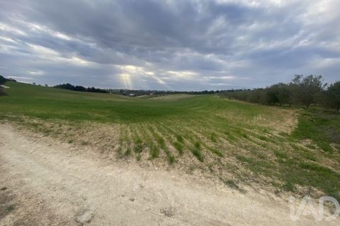 Terra a Santarem, Santarem, Santarem - € 180.000 | Ref: 919065 - foto 5