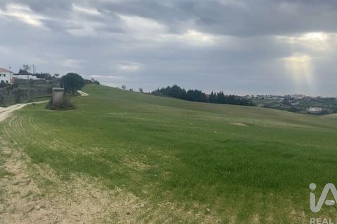 Terra a Santarem, Santarem, Santarem - € 180.000 | Ref: 919065 - foto 6
