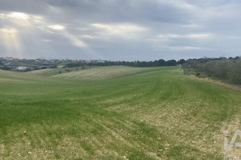 Terra a Santarem, Santarem, Santarem - € 180.000 | Ref: 919065 - foto 8