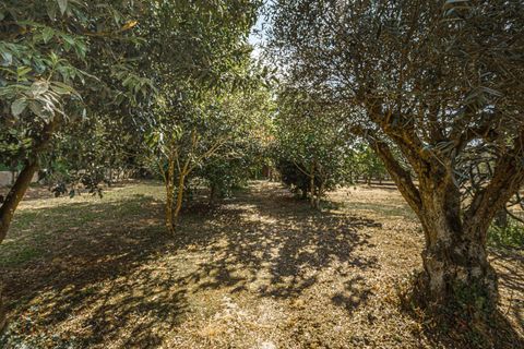 Landejendom i Cospeito, Lugo, Cospeito - € 240.000 | Ref: 1172 - foto 14